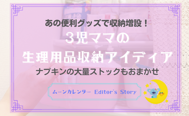 「なければ作ればいいじゃない！」収納なしトイレに棚を後付け！ナプキン大量ストックもOK