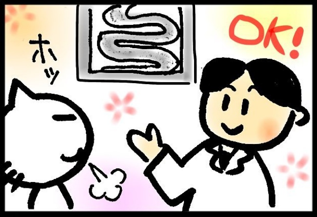 「癒着が残っているので…」私を不安にかりたてる医師の言葉とは? #子宮がんと腸閉塞 18