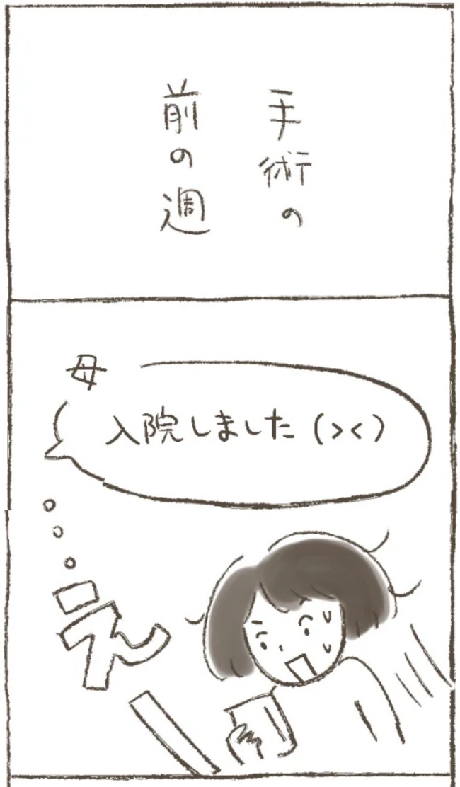 「おなかの中にどでかい怪物が!?」書類に記載されていた病名は… #子宮筋腫よさらば 3