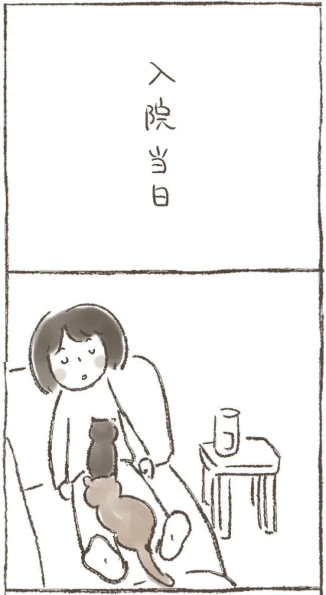 「退院しました。なので…」病み上がりの母から送られてきた驚きのメールとは? #子宮筋腫よさらば 4