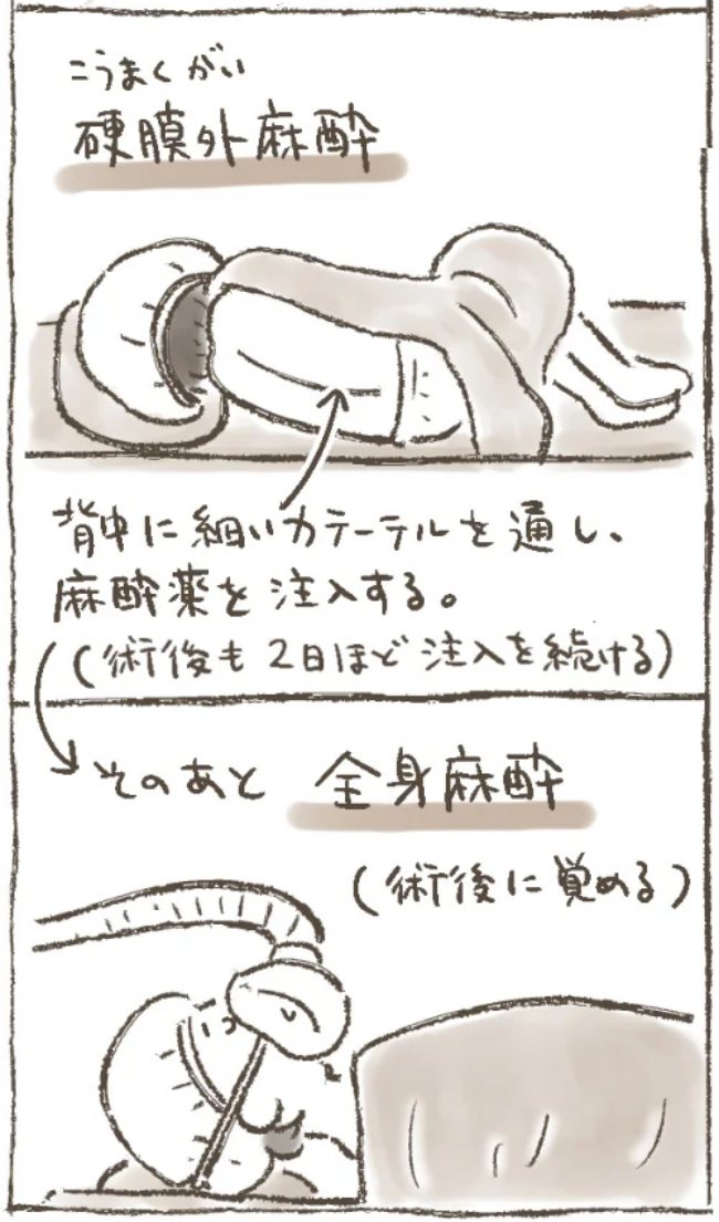 「退院しました。なので…」病み上がりの母から送られてきた驚きのメールとは? #子宮筋腫よさらば 4